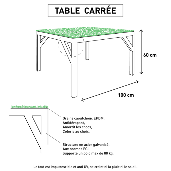 Table Canidéfit : obstacle agility