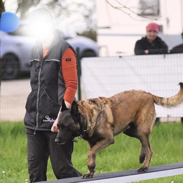 Pont mobile Canidéfit : obstacle d'agility