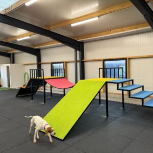 Aire de jeux pour chien canidéfit