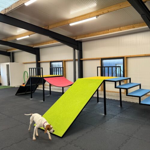 Aire de jeux pour chien canidéfit