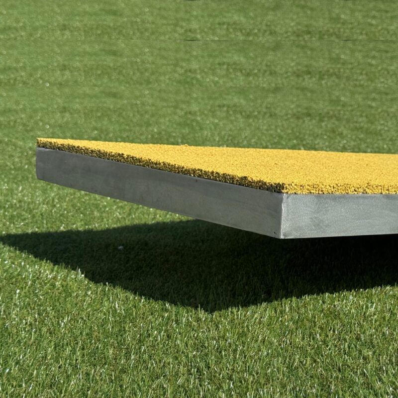 détail : balance board pour chien et chiots par canidéfit