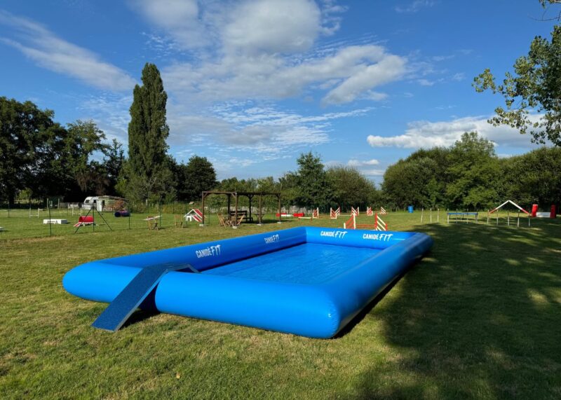 piscine-chien-rectangle-bleu-clair Piscine pataugeoire - rectangulaire