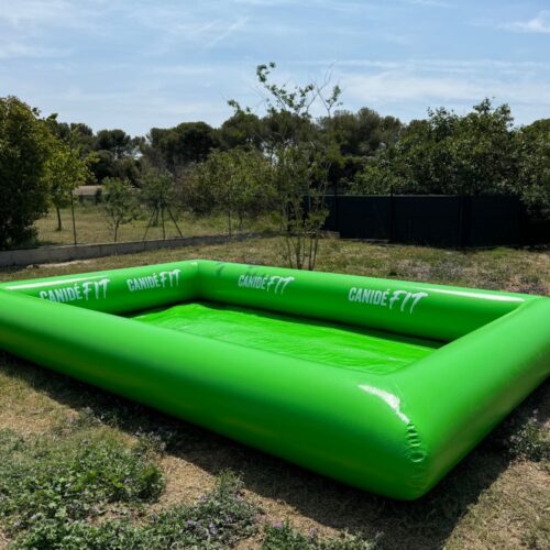 piscine-chien-rectangle-verte Piscine pataugeoire - rectangulaire