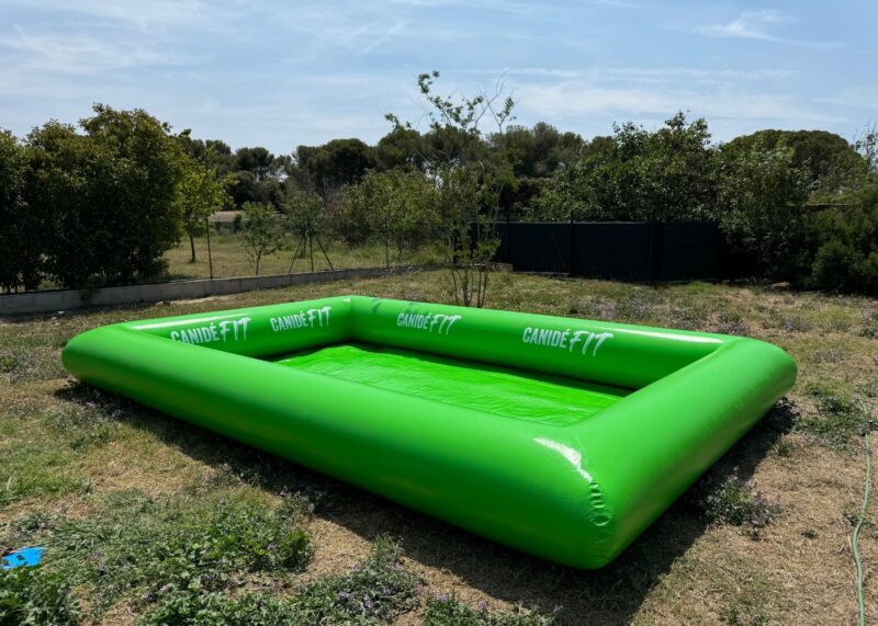 piscine-chien-rectangle-verte Piscine pataugeoire - rectangulaire