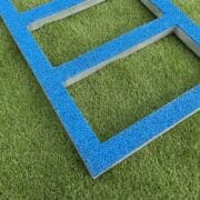 Échelle de proprioception canine