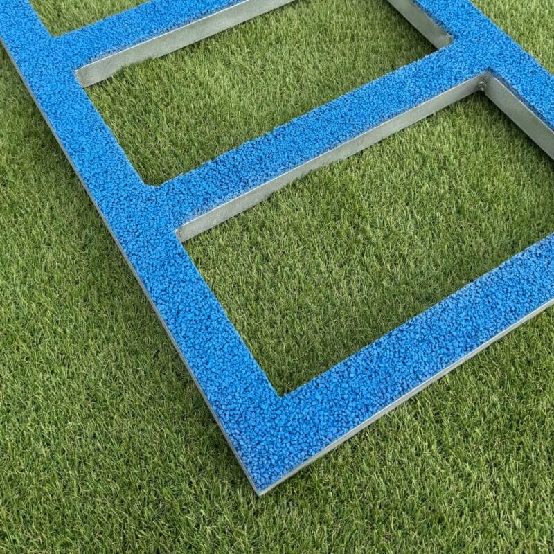 Échelle de proprioception canine