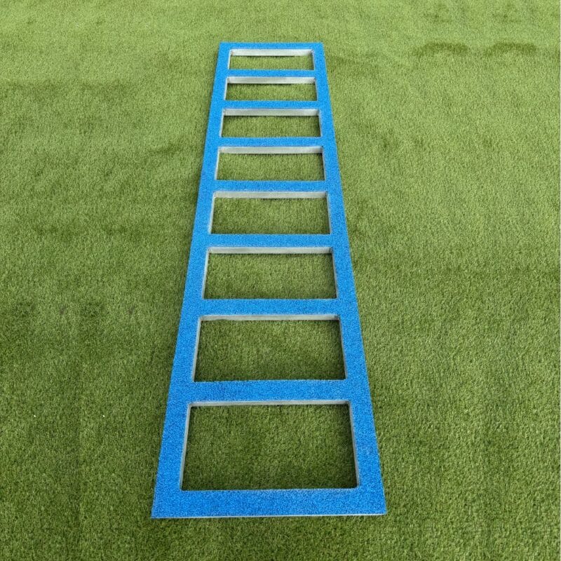 Échelle de proprioception canine