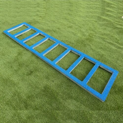 Échelle de proprioception canine