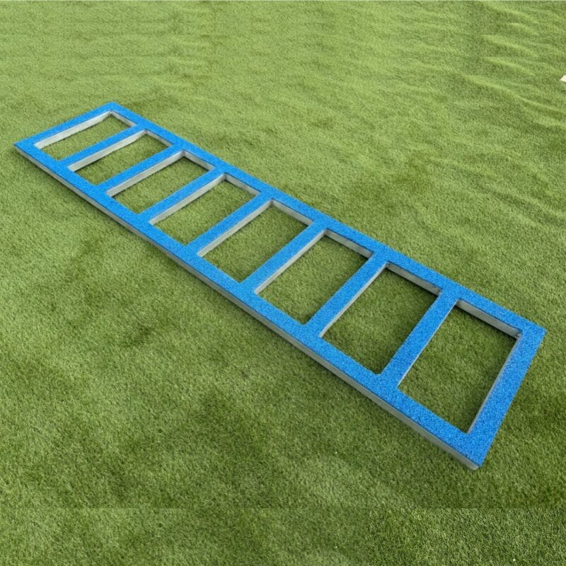 Échelle de proprioception canine