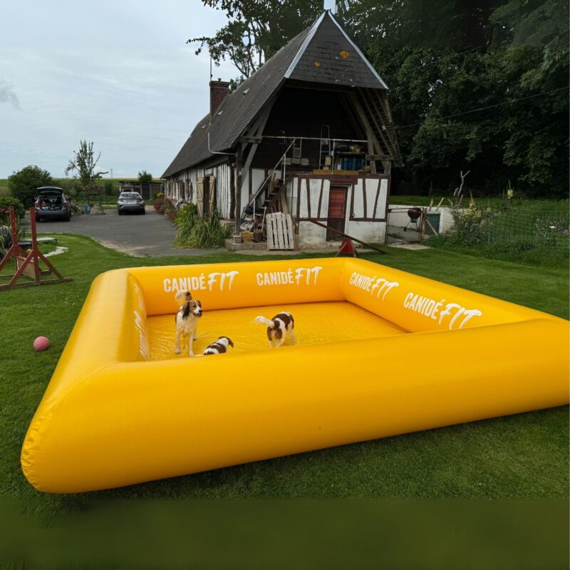 piscine pour chien carrée canidefit jaune