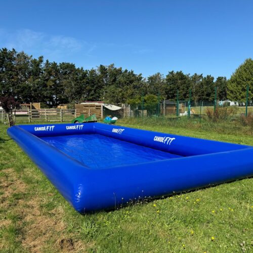 Piscine pour chien rectangle canidefit bleu foncé