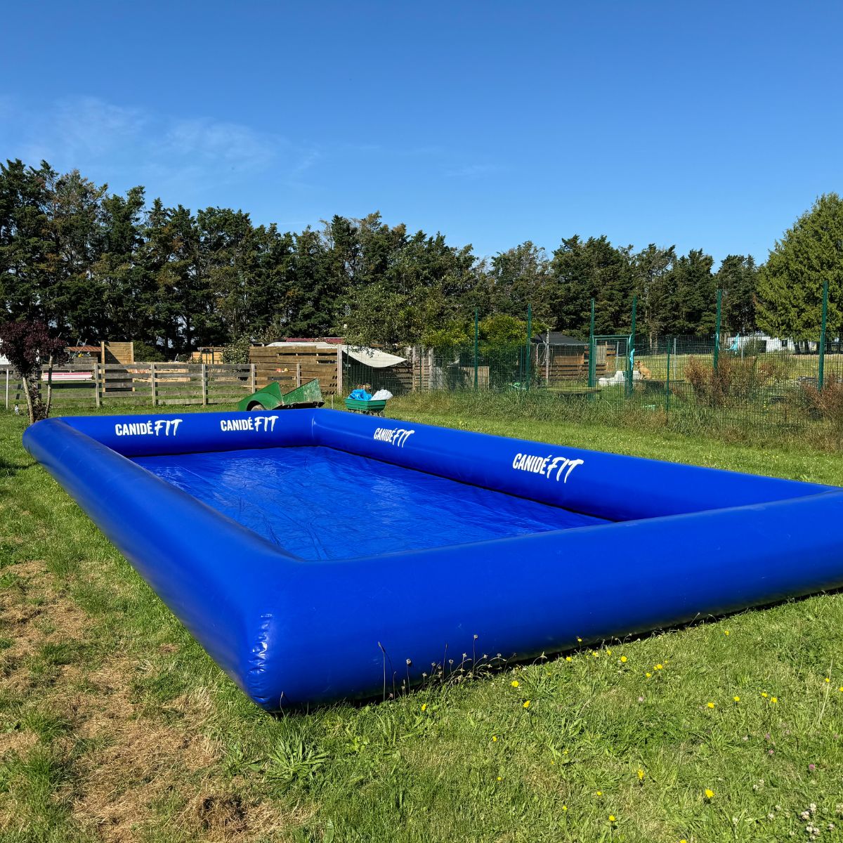 Piscine pour chien rectangle canidefit bleu foncé