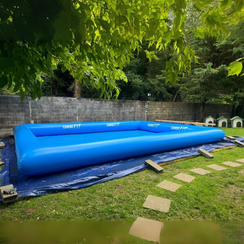 piscine pour chien rectangle canidefit bleu