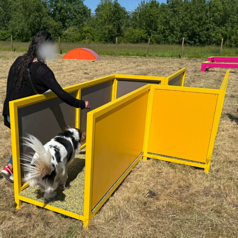 Couloir indirect - Gamme parcours santé - Canidefit : Vue avec chien