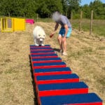 Echelle de proprioception - Gamme parcours santé - Canidefit : Vue avec chien