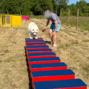 Echelle de proprioception - Gamme parcours santé - Canidefit : Vue avec chien
