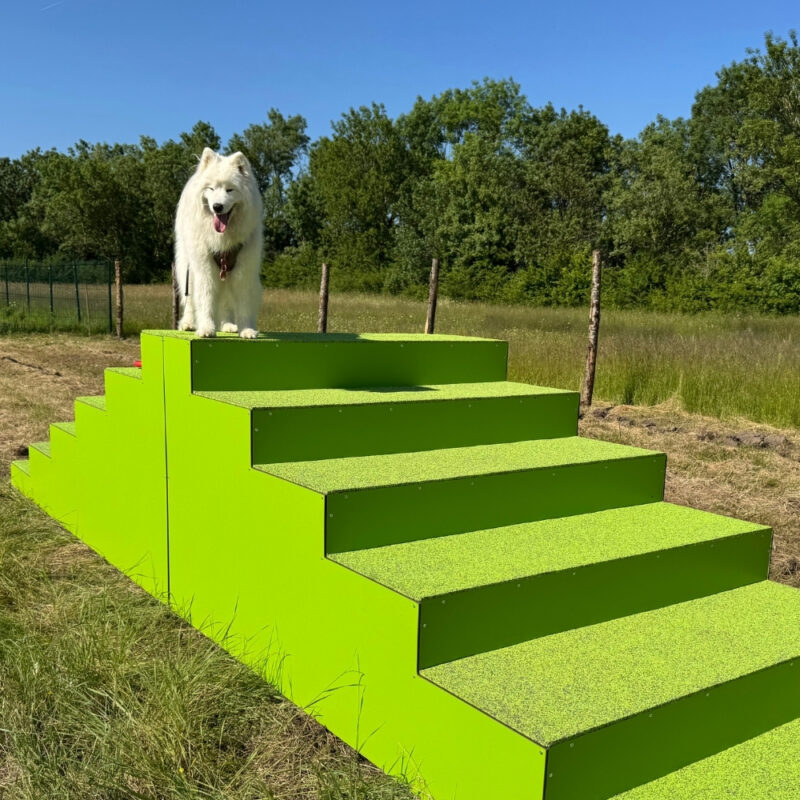 Escalier - Gamme parcours santé - Canidefit : Vue avec chien