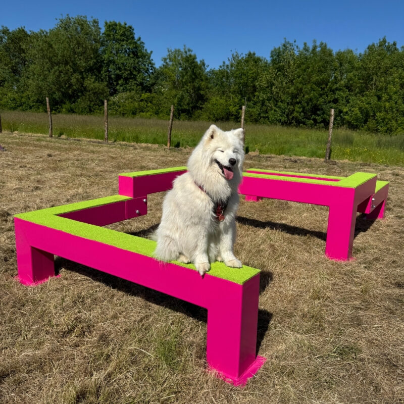 Poutre à deux niveaux - Gamme parcours santé - Canidefit : Vue avec chien
