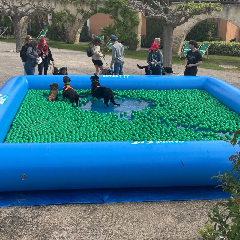 xr:d:DAGCZHrr0l8:8,j:7426860627020114555,t:24041412 Piscine pataugeoire - carrée