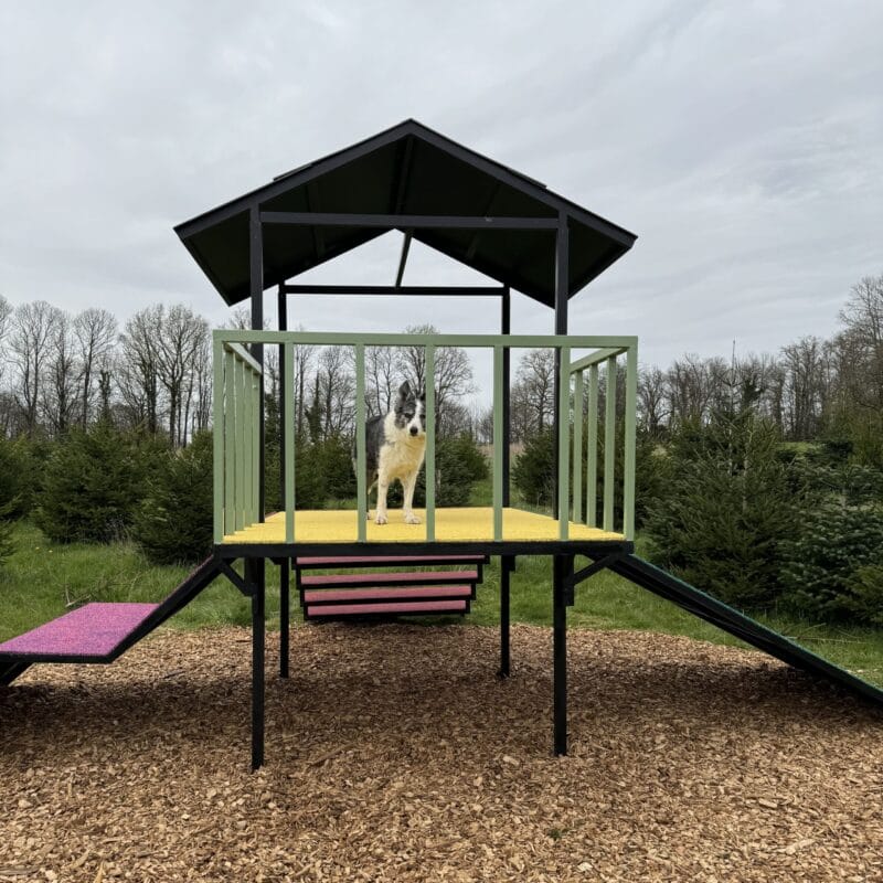 Aire de jeu – 1 plateau