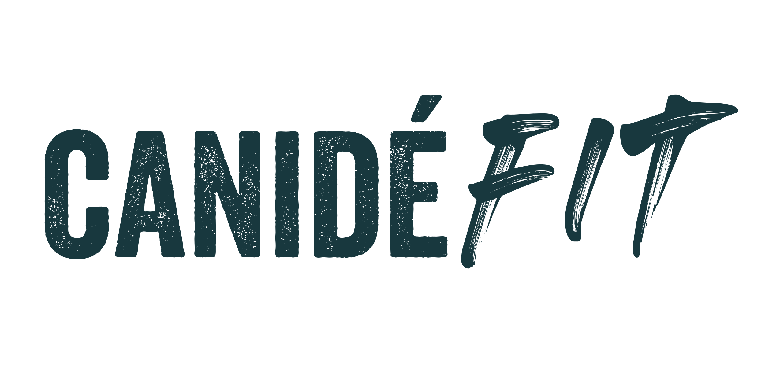 canidefit.com