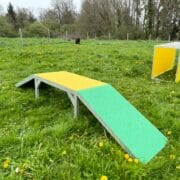 passerelle-jaune_vert Passerelle pour chiots