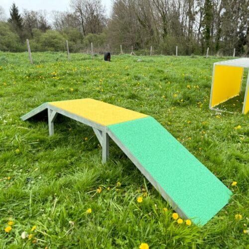 Passerelle pour chiots