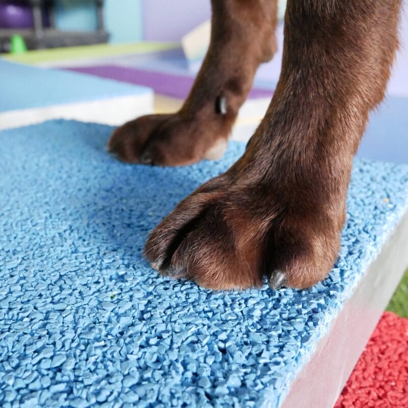 Plateforme Debout/Couché