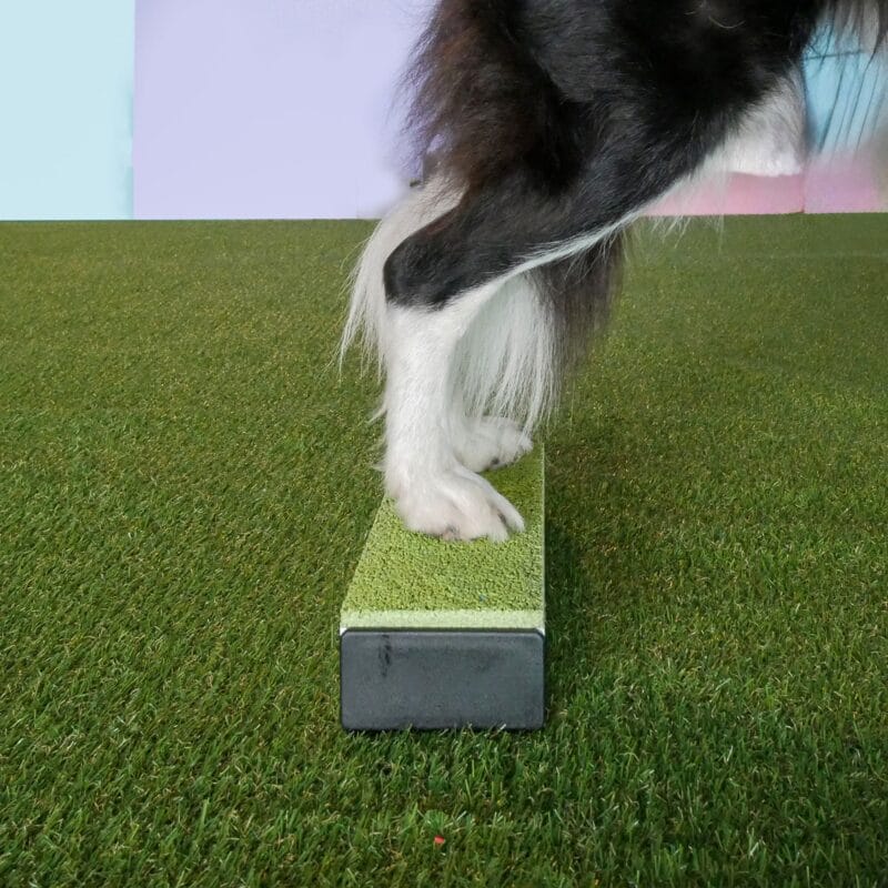 Cible Barre 2 pattes