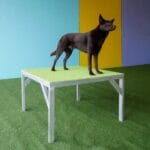 sauvetage-table-004-2-min Table