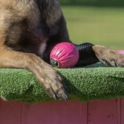 Ball Grip