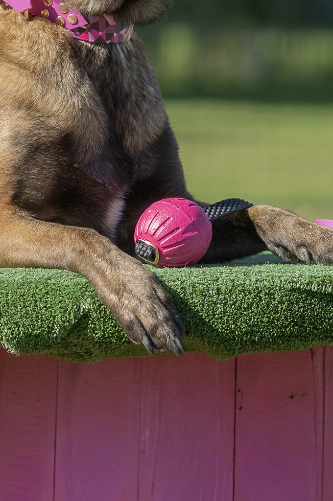 Ball Grip