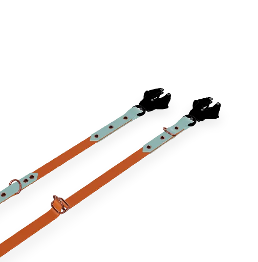 Laisse Multiposition Frog