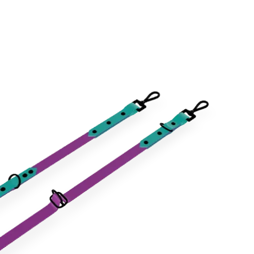 Laisse Sport Multiposition Bi-Color