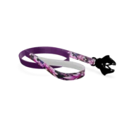 Laisse Sport Design