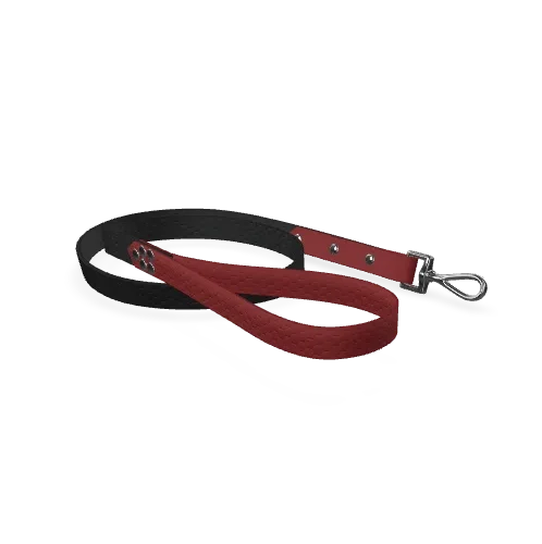 Laisse Hexa Bi-Color