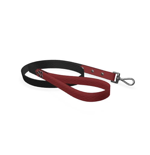 Laisse Hexa Bi-Color