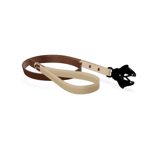 Laisse Sport Bi-Color