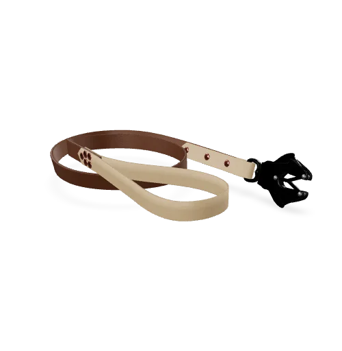 ast_image_featured_bbbf5870a8fd5a114a20 Laisse Sport Bi-Color