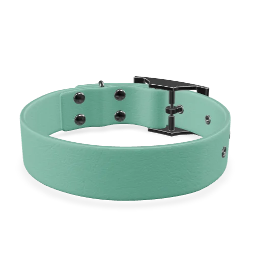 Collier Biothane Uni