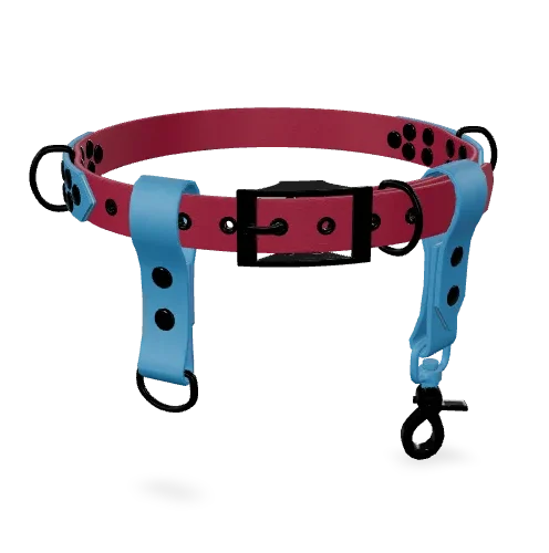Ceinture Main Libre Bi-Color