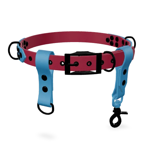 Ceinture Main Libre Bi-Color