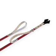ast_image_featured_e0d8bba3b700a1e3181b Laisse Sport Double Poignée Design