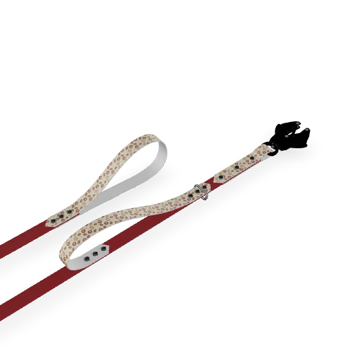 Laisse Sport Double Poignée Design