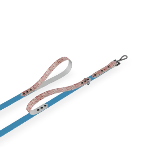 Laisse Double Poignée Design
