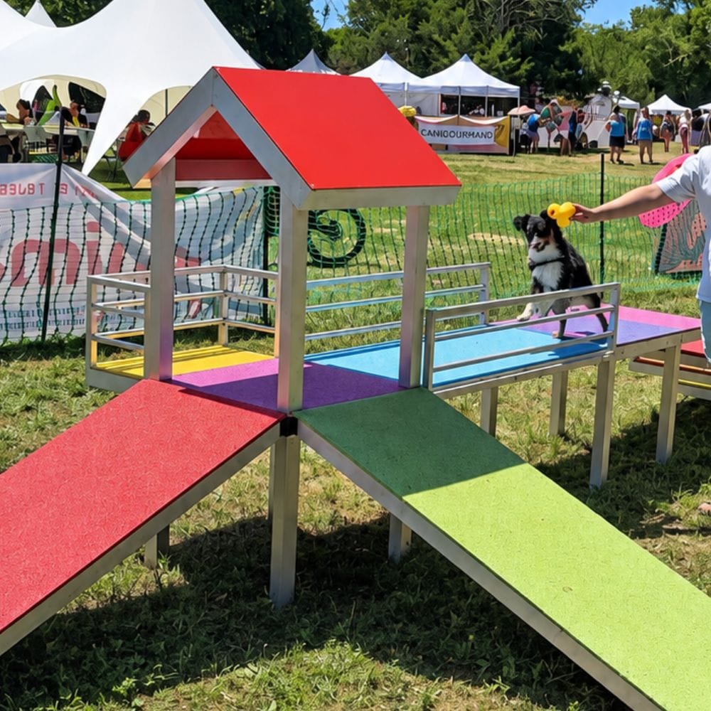 aire-de-jeux-petite-race-5 Petit chien descendant la rampe EPDM antidérapant de l'aire de jeux petite race